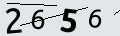 verifycode